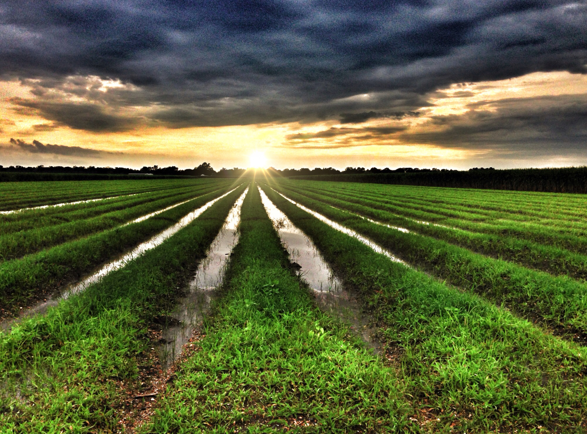 Adaptation to Climate Changes in the Jordan Valley – Rehabilitation of Irrigation Networks