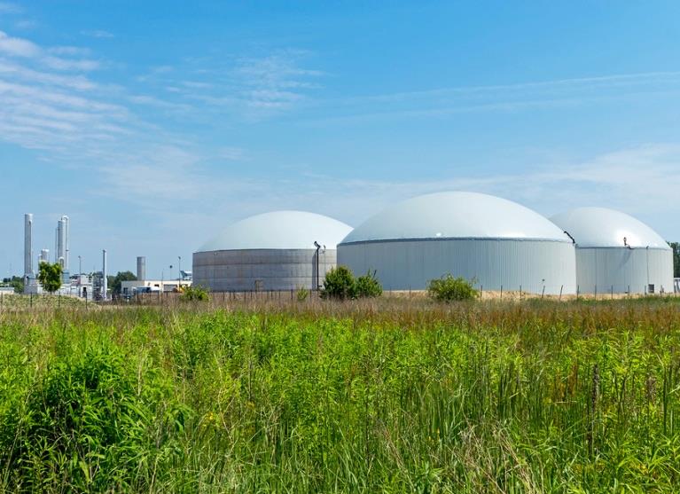 Pre-feasibility Study for an Anaerobic Digestion Plant